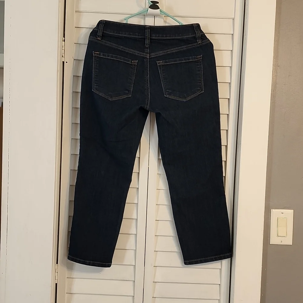 Ann Taylor LOFT 26/2 curvy crop - Picture 3 of 5